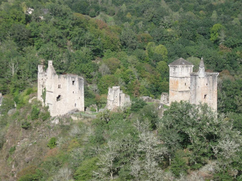 Chambres D'Hotes De Charme Le Pradel Monceaux-sur-Dordogne エクステリア 写真